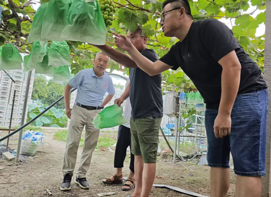 QQ图片20240911090044.png QQ图片20240911090044.png