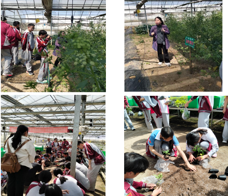 市蔬菜所五四迎来一批青年学子研学