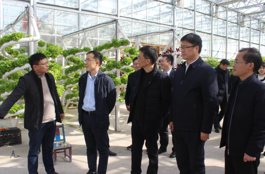 江苏省农业农村厅调研金湖三资管理及农村产权交易市场建设工作