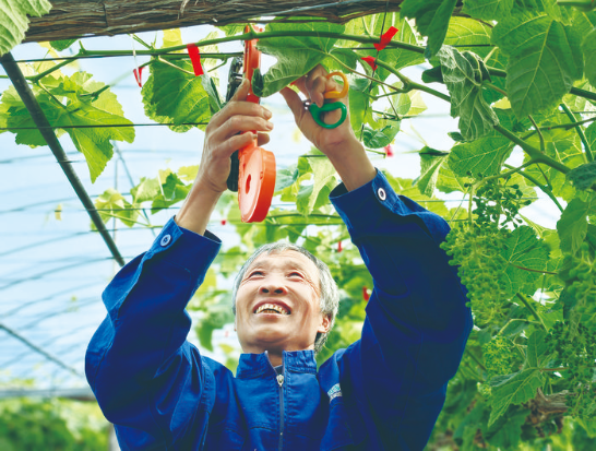 小满至 农事忙