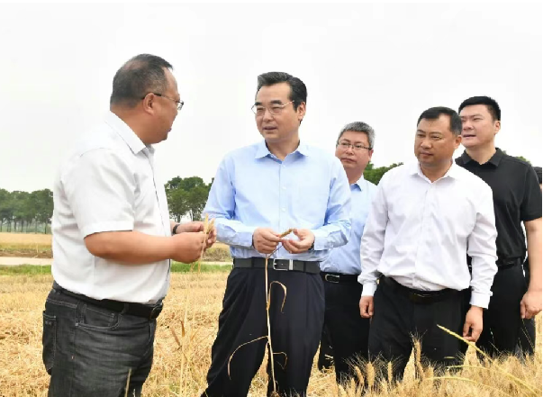史志军调研夏收夏种工作