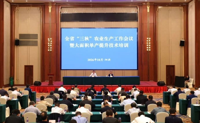 锚定秋粮丰收到手秋播种足种好 坚决打好“三...